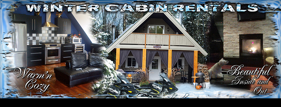 private cottage rental in haliburton with on site snowmobile atv and jet ski rentals