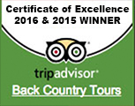 trip advisor award of excellence back country tours