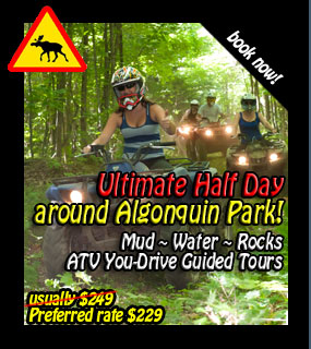 Back Country Tours ATV Snowmobile specialists in Ontario