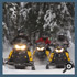 snowmobile rentals and tours muskoka ontario