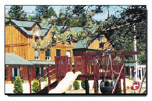 Dwight Village Motel Muskoka, Resort Partner Back Country Tours