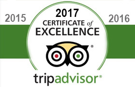 trip advisor award of excellence back country tours